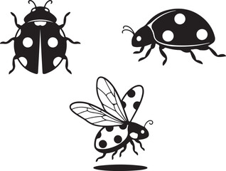 Black and White Ladybug Vector Illustrations Set Top View Flying and Side Profile