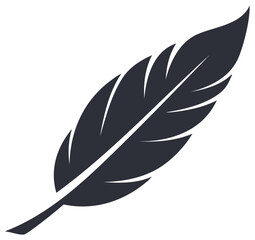 Obraz premium Dark Feather Illustration Isolated on White, Simple Design for Writing or Decor