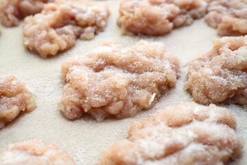 Raw turkey breast patties coated with spices and breadcrumbs on parchment paper, ready for baking
