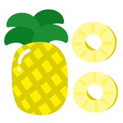 다양한 종류의 과일 열대과일 일러스트