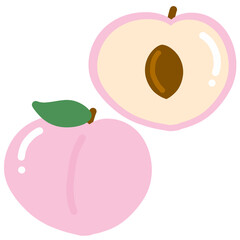 다양한 종류의 과일 열대과일 일러스트