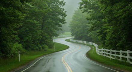 Fototapeta premium Winding road through lush green trees wet asphalt white fence natural landscape scenic drive