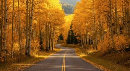 Winding road through vibrant autumnal forest with golden trees under daylight scenic outdoor landscape