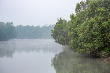 Scenic sunrise landscape with fog on water channel in the Sundarbans National Park, Bangladesh. The Sundarbans is the largest mangrove forest or saline woodland in the world. 