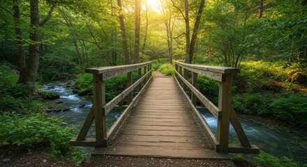 Fototapeta premium Wooden bridge over a flowing stream in a lush forest setting with sunlight creating a peaceful scene