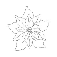 Christmas poinsettia flower outline design in vector format. Suitable for digital downloads, printable crafts, coloring books, and festive branding.