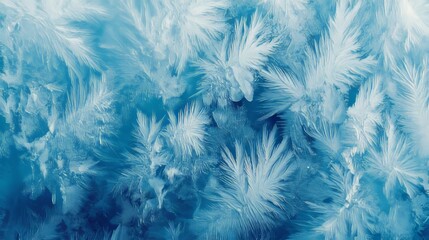 Obraz premium Delicate Patterns of Frost on Glass, Captivating Ice Crystals, Winter Wonderland Abstract Art