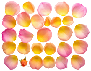 Rose petals, various shades of pink and yellow, arranged in a grid pattern