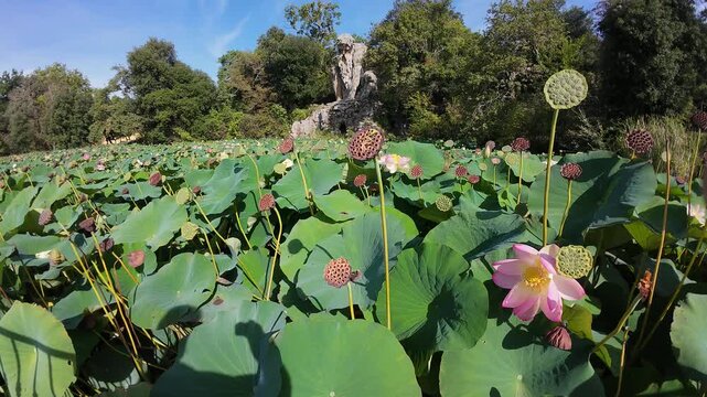 PRATOLINO, ITALY , Historical Park of Pratolino The Apennine Colossus statue