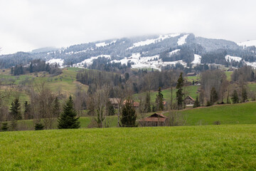 Lush Green Field View of a Hillside Village and Snowy Ski Slopes Under an Overcast Sky