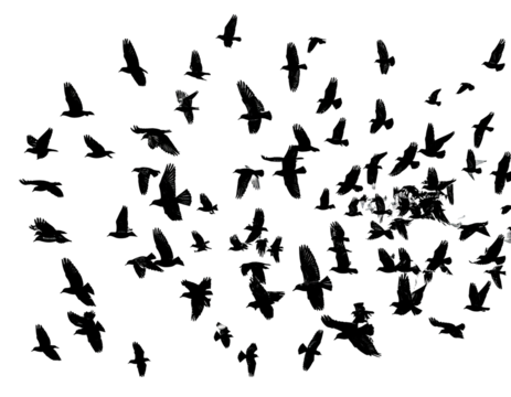 Abstract chaotic splatter of light specks and streaks on black background