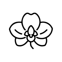 Orchid Icon