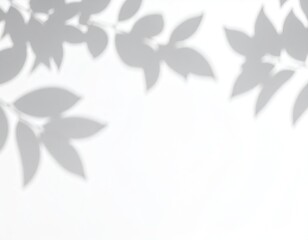 Gray leaf shadows on a white wall