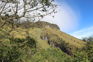 Mountain Landscape with Prominent Peak and Tree Silhouette
