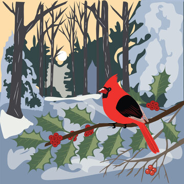 Cardinal Perched on Holly Branch in Winter Forest Scene