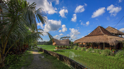 Lush green field with a path leading to a small hut