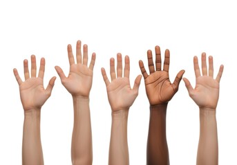 Obraz premium Diverse hands raised together with open palms showing unity and inclusion concept on white background