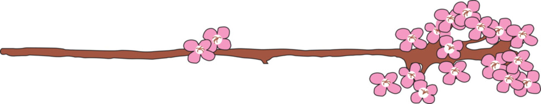Mandelbl&uuml;te