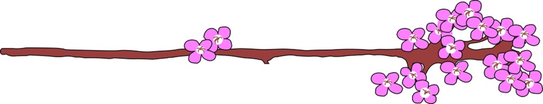 Mandelbl&uuml;te