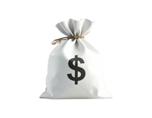 White money bag with dollar sign