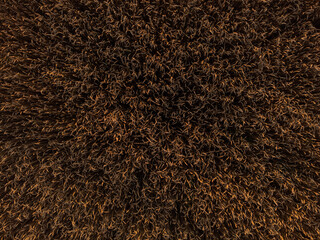 Golden wheat fields look down, textured farmland patterns