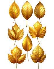 Fototapeta premium Bright orange-golden autumn leaves on a white background
