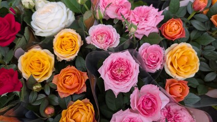 Vibrant Mixed Roses in Full Bloom A Beautiful and Colorful Floral Display for All