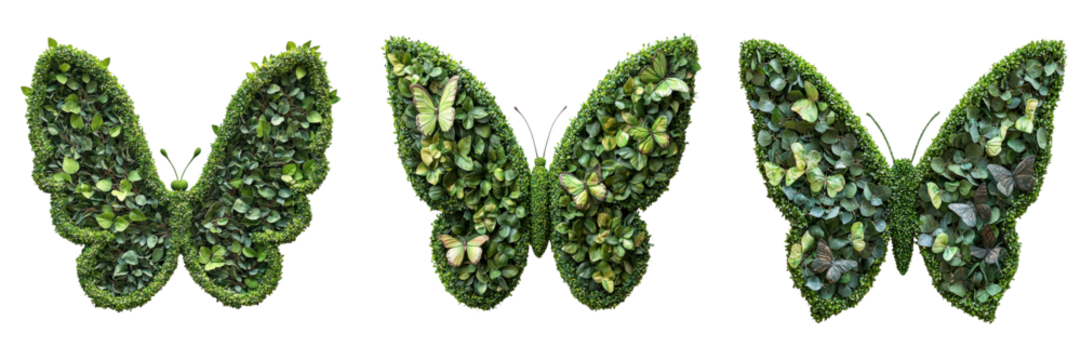 Butterfly topiary frames with lush green foliage create vibrant and whimsical display of nature beauty.,isolate on transparent background - Powered by Adobe