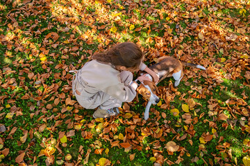 Girl playing with dog in autumn leaves. Teenager enjoying fall season with her pet.