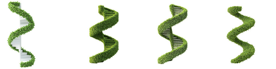 Spiral staircase topiary shape ascending form with vibrant greenery and intricate design.,isolate on transparent background