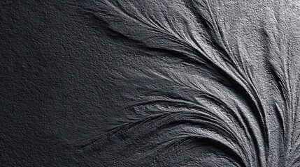 Black Textured Surface with Branching Pattern