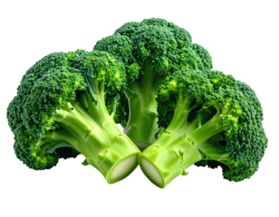 Two fresh broccoli heads, vibrant green, close-up