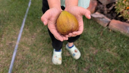 A Child Excitedly Holding a Unique and Colorful Fruit While Standing in a Vibrant Garden