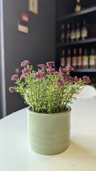 Beautifully Charming Potted Flowers Displayed on a Table for Elegant Aesthetic Appeal