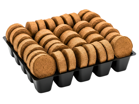 Tray of compressed peat pellets for starting seeds for gardening on a transparent background