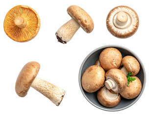 Assorted mushrooms, top view, including brown button mushrooms and a variety of whole mushrooms in a bowl