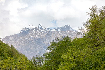 Fototapeta premium A mountain range with snow on the top and trees in the foreground