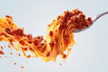Spaghetti meat sauce
