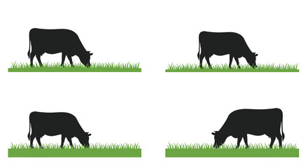 Simple illustration of black cows grazing on green grass patches