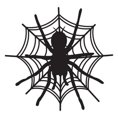 Spider Web Icon