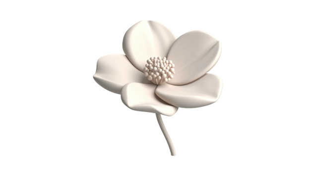 A delicate, creamy white flower with layered petals and detailed center, on black background