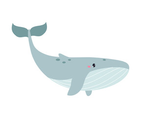 Northern Whale Animal and Zoo Creature from Cold North Vector Illustration