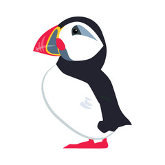 Northern Puffin Bird and Zoo Creature from Cold North Vector Illustration