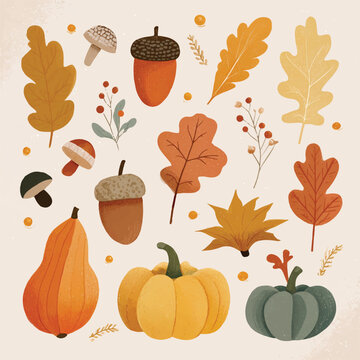 Autumn harvest illustration featuring pumpkins acorns leaves and mushrooms in warm fall colors