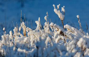 A field of snow covered grass