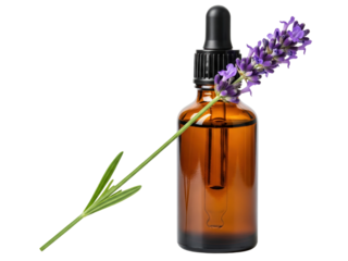 Lavender essential oil concept with an amber glass dropper bottle on a transparent background