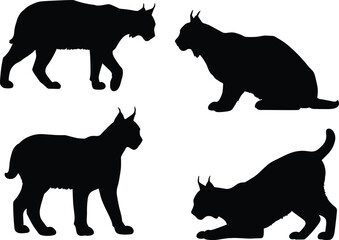 Lynx silhouette vector, wild feline poses, walking sitting standing crouching clipart, black animal graphic, isolated wildlife design, predator