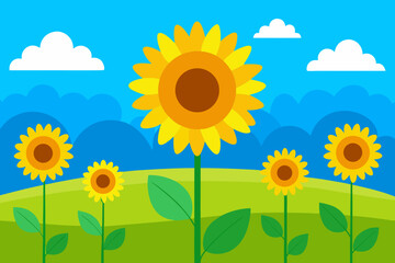 A beautiful cartoon scene of a sunflower field under a blue sky vector illustration
