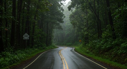 Fototapeta premium Winding road through lush green forest with wet asphalt and overhead view