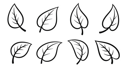 Fototapeta premium Simple black and white illustration of various leaf shapes and designs